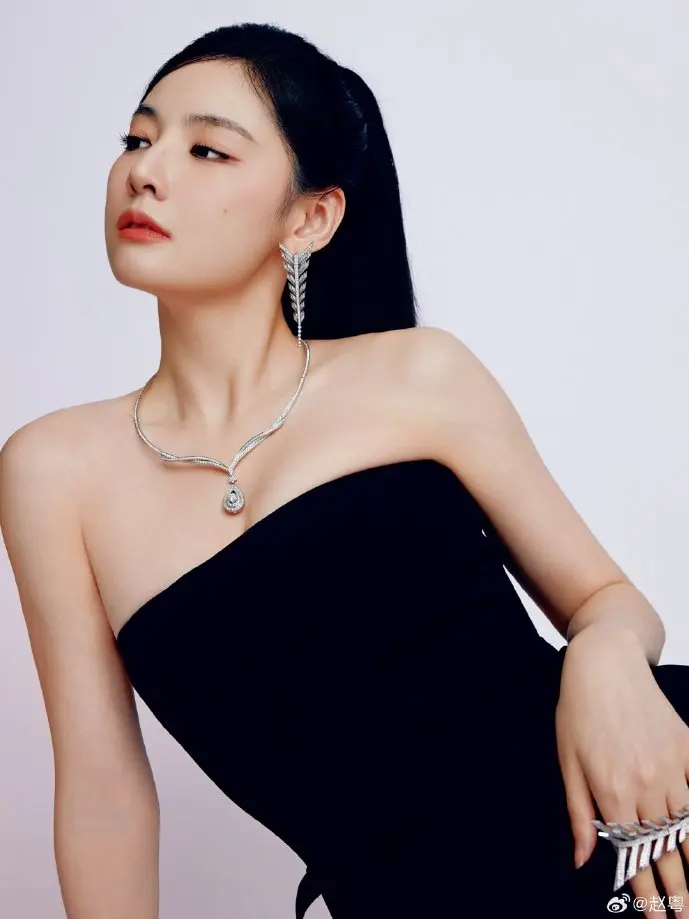 口袋图鉴下载数据分析